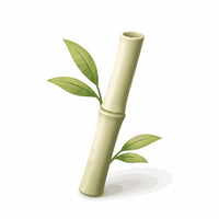 Charcoal Infused Bamboo Bristles